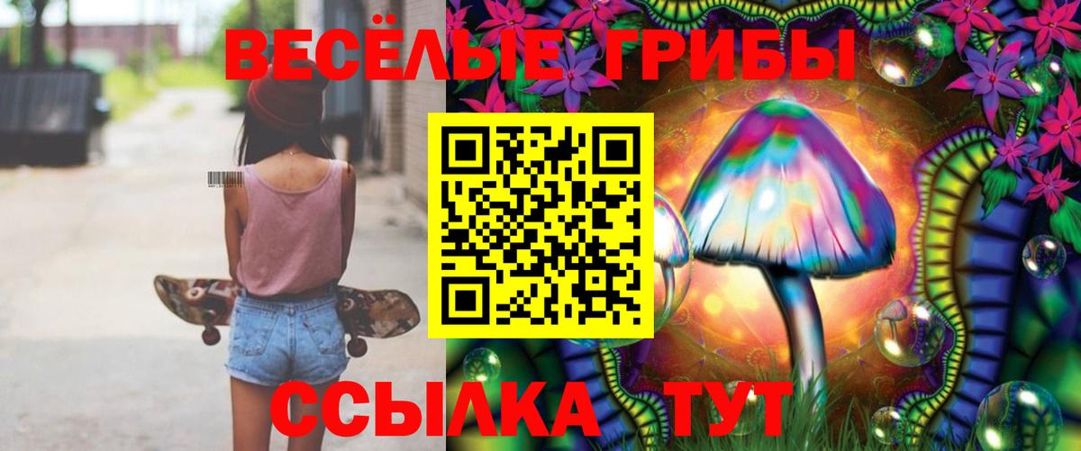 Псилоцибиновые грибы Cubensis  Галлюциногенные грибы ЛСД  Вход с VPN  Выборг 